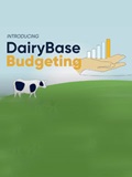 DairyBase budgeting 