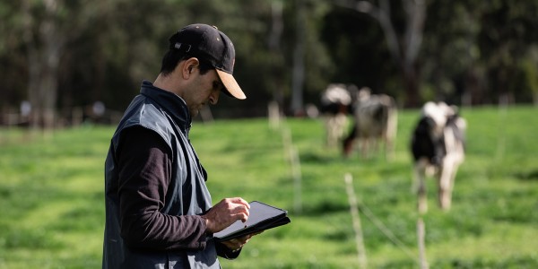 Farmer reading report on tablet
