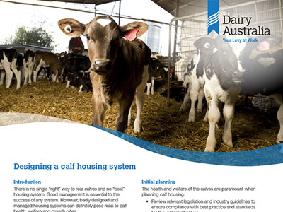 Designing a calf housing system