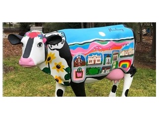 Picasso Cows continues to teach children about dairy in 2022