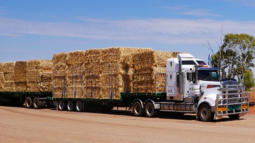 Truck carrying hay